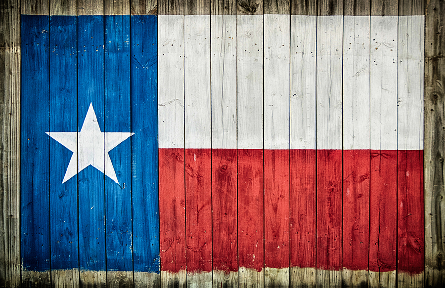 Lone Star Sate Flag Photograph by Steven Michael