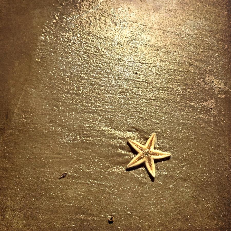 Lone Starfish On The Beach Photograph
