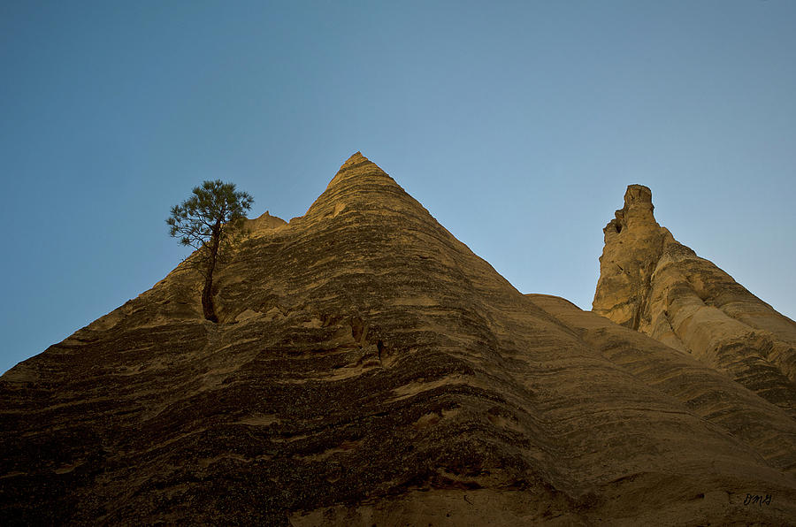 Lone Tree and Sandstone Peaks Photograph by David Gordon