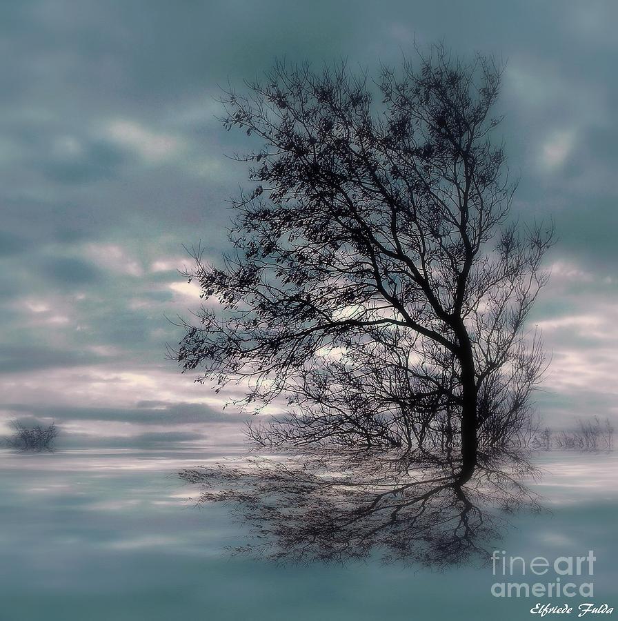 Lone Tree Mixed Media by Elfriede Fulda