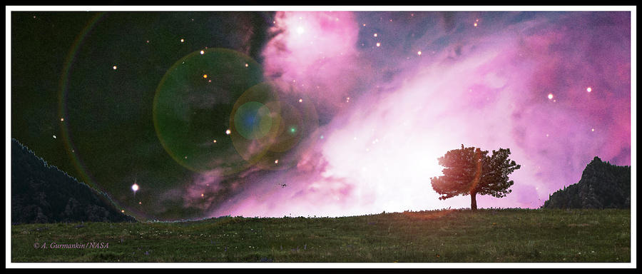 Lone Tree in a Meadow, Starry Night Digital Art by A Macarthur Gurmankin