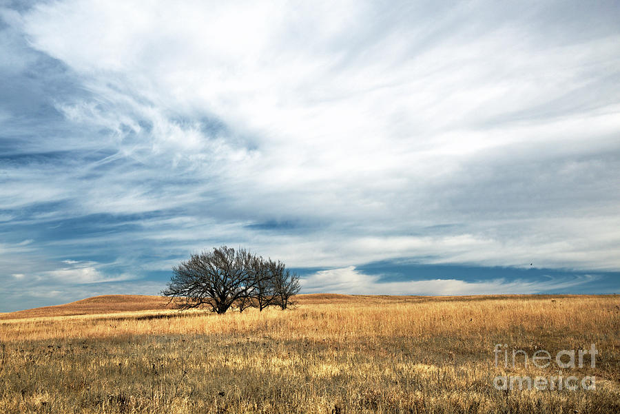 Late Autumn in the Flint Hills Photograph by Jean Hutchison