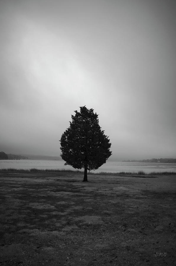 Black And White Photograph - Lone Tree Looking South BW by David Gordon