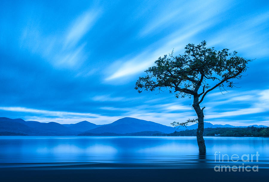 Scotland Photograph - Lone Tree Milarrochy Bay by Janet Burdon
