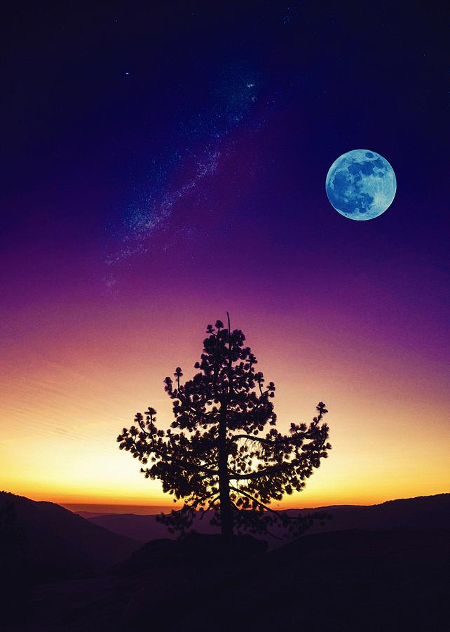 Lone Tree, moon and galaxy by Adam Asar Painting by Celestial Images