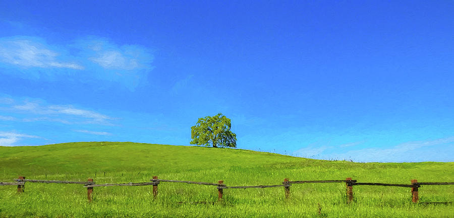 Park Digital Art - Lone Tree On A Hill Digital Art by Randy Herring Park Digital Art - Lone Tree On A Hill Digital Art by Randy Herring