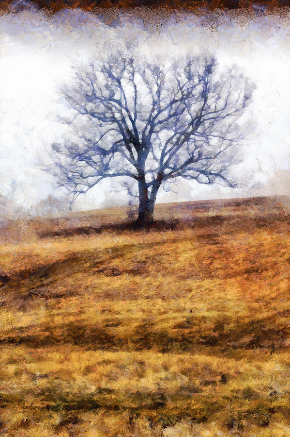 Tree Photograph - Lone Tree on Hill in Winter by Betty Denise