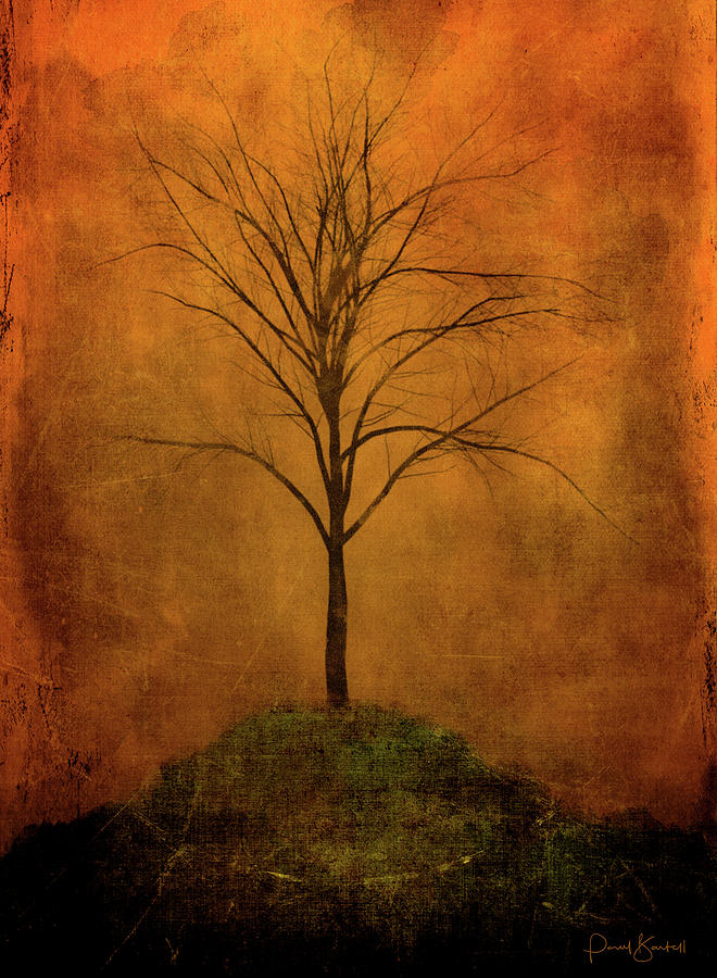 Lone Tree on Hill by Paul Bartell Lone Tree on Hill by Paul Bartell