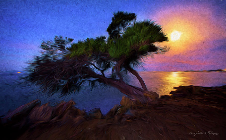 Tree Photograph - Lone Tree on Pacific Coast Highway at Moonset by John A Rodriguez