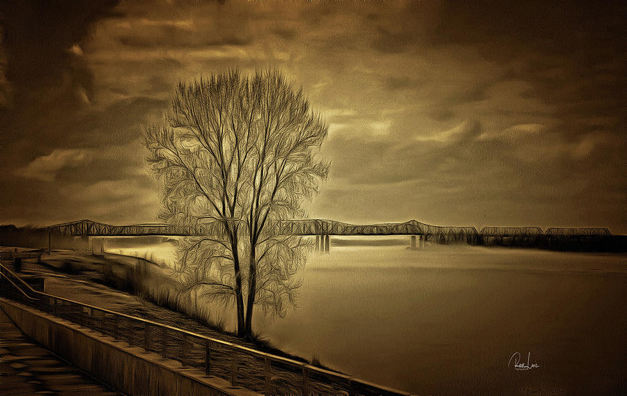 Lone Tree On The Mississippi Photograph by Reese Lewis