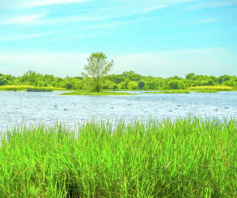 Lone Tree on the Wetlands Digital Watercolor by Randy Herring Lone Tree on the Wetlands Digital Watercolor by Randy Herring