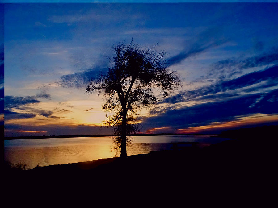 Lone Tree Silhouette Photograph by Doris Aguirre