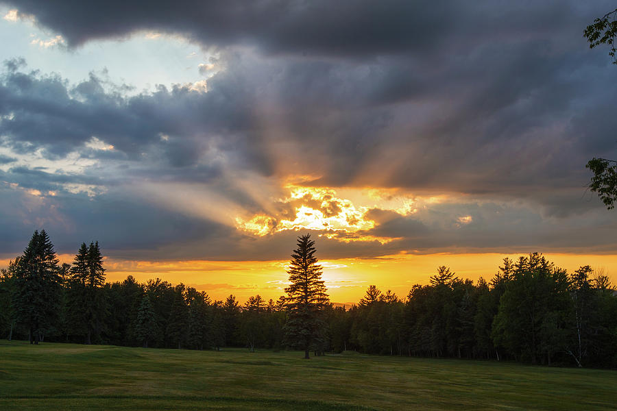 Sunset Photograph - Lone Tree Sunflare by White Mountain Images