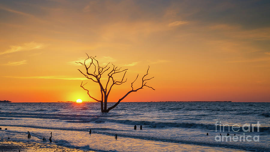 Lone Tree Sunrise  Photograph by Michael Ver Sprill