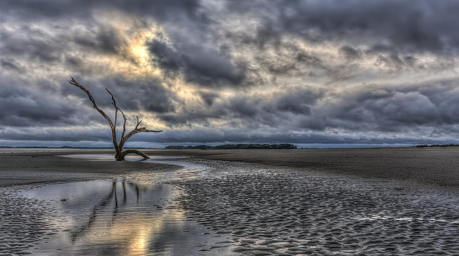 Lone Tree Under Moody Skies Photograph by Harry B Brown
