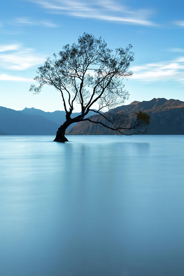 Mountain Photograph - Lone Tree - Wanaka #1 by Russ Dixon