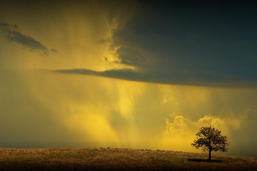 Lone Tree with oncoming Thunderstorm Photograph by Randall Nyhof