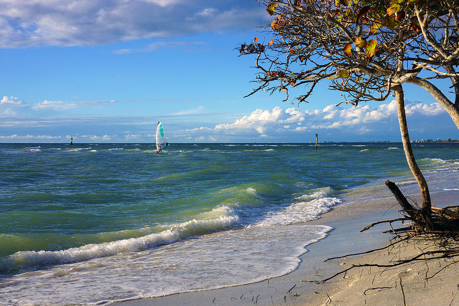 Beach Photograph - Lone Windsurfer at Wiggins Pass by Robb Stan