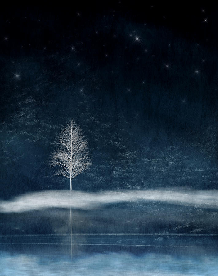 Lone Winter Tree by Paul Bartell Lone Winter Tree by Paul Bartell