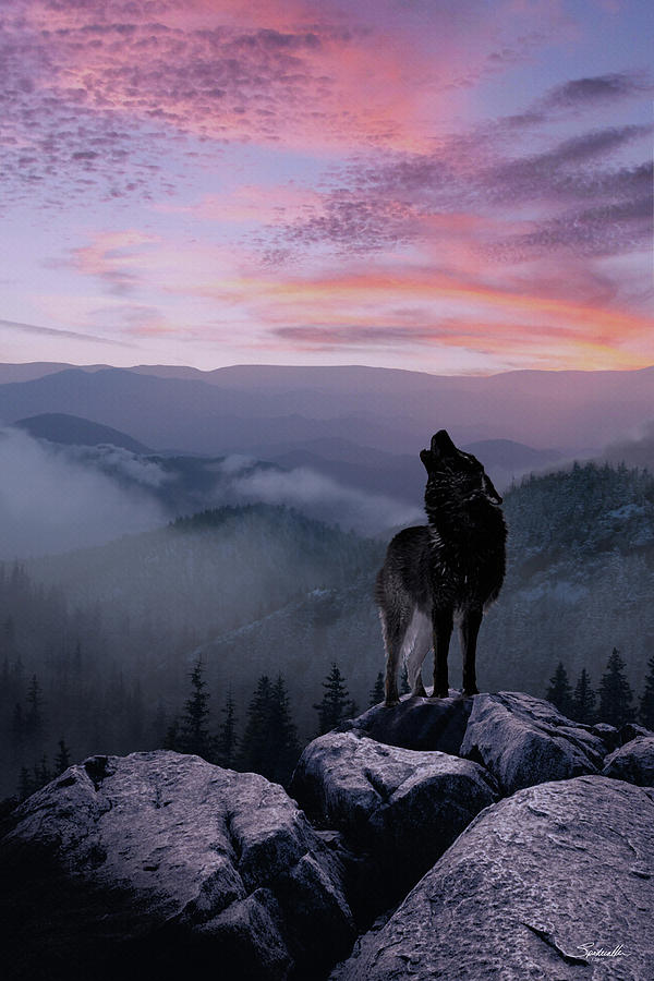 Lone Wolf at Sunset Ridge Digital Art by M Spadecaller