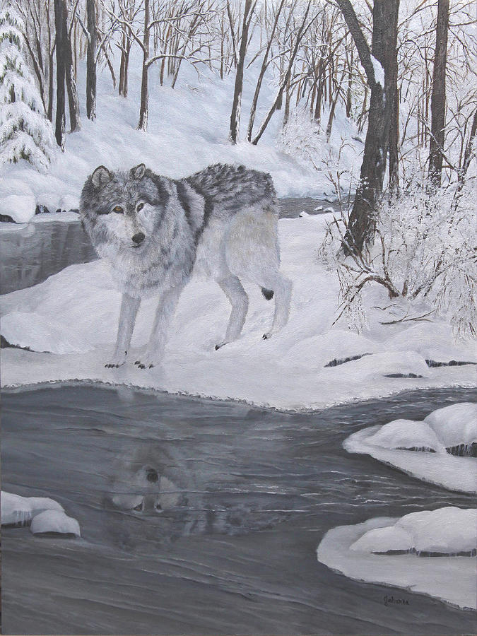 Wolves Painting - Lone Wolf by Johanna Lerwick
