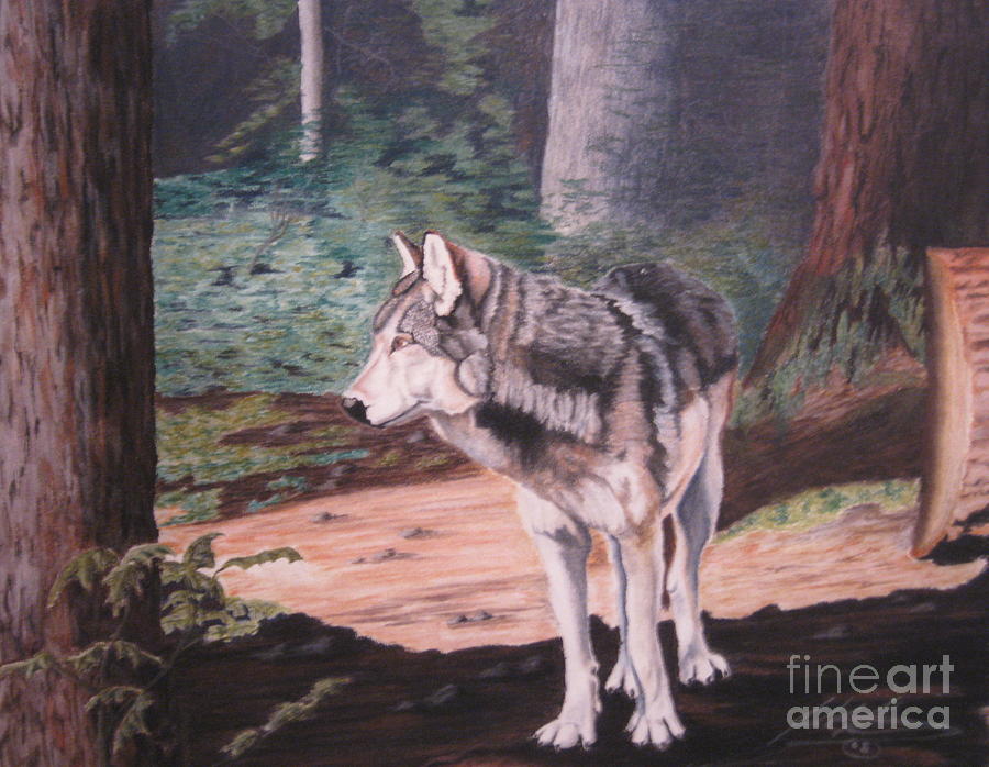 Lone Wolf Pastel by John Huntsman - Fine Art America