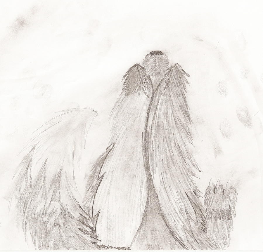 Lone Wolf Drawing by Tehya Kurtz - Fine Art America