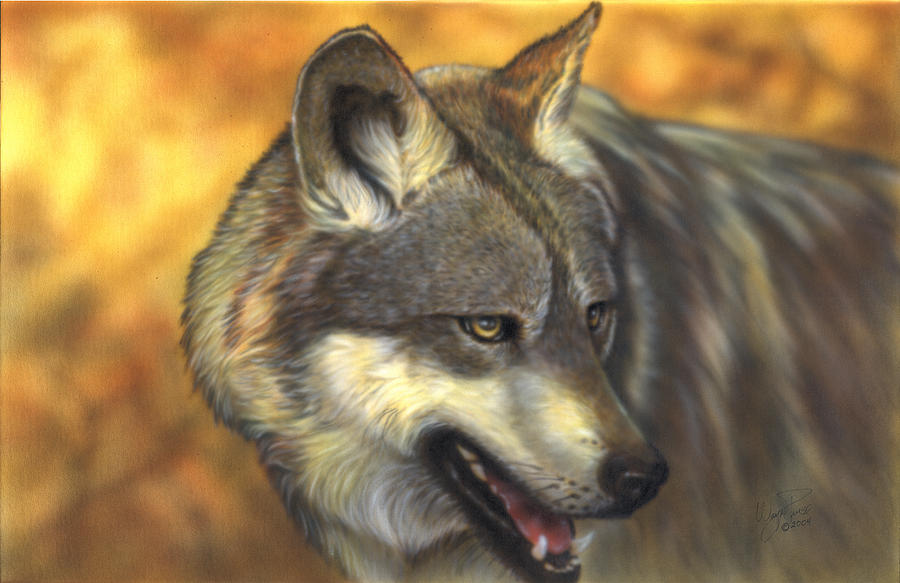 Lone Wolf Painting by Wayne Pruse