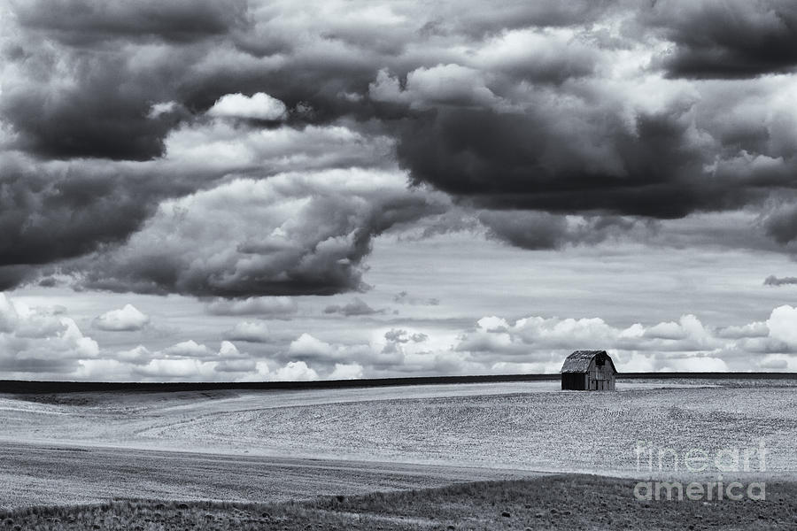 Black And White Photograph - Lonely Barn by Michael Dawson