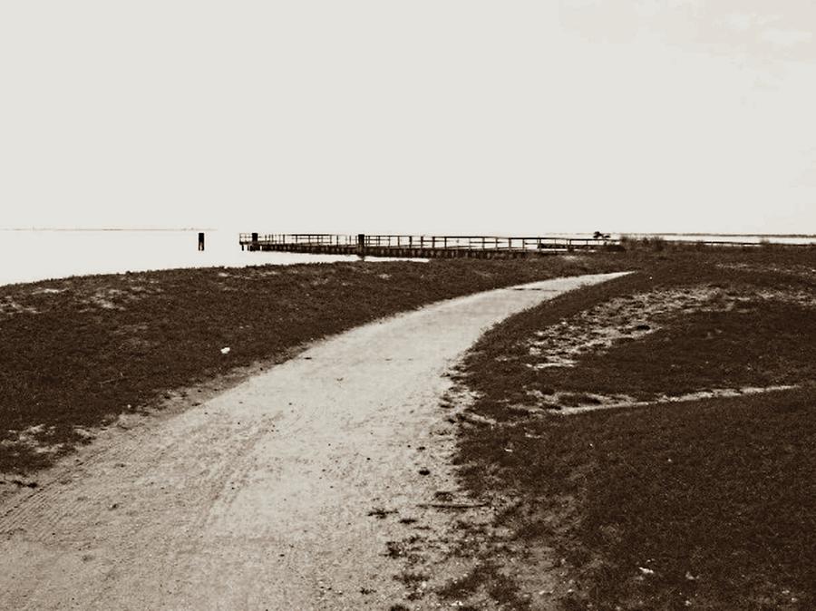 Lonely Beach Road Sepia Impressionistic Photograph by Stacie Siemsen