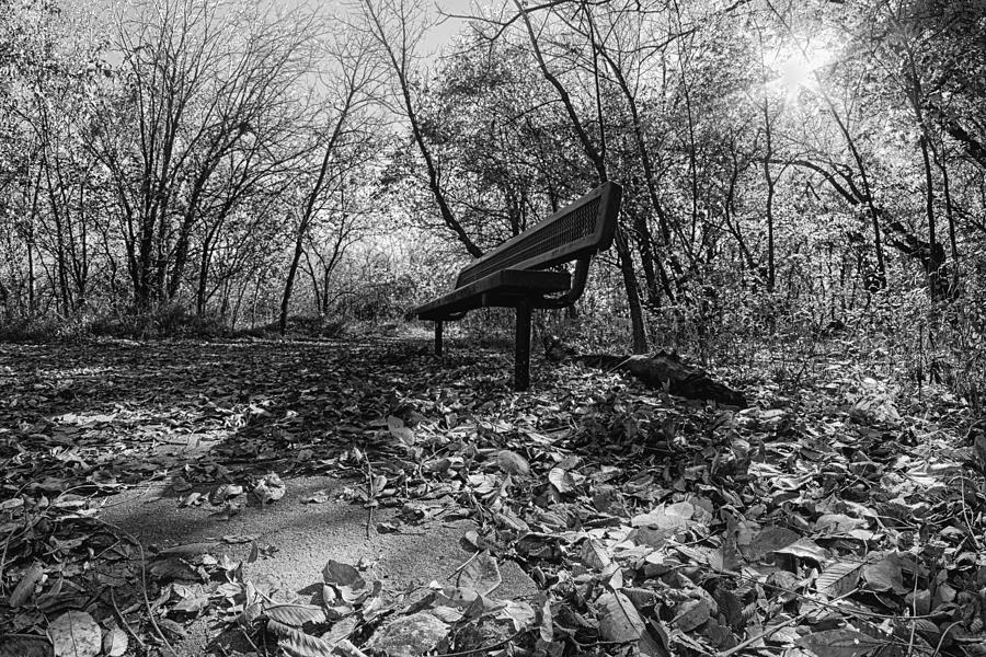 Lonely Bench II Photograph by Jay Stockhaus