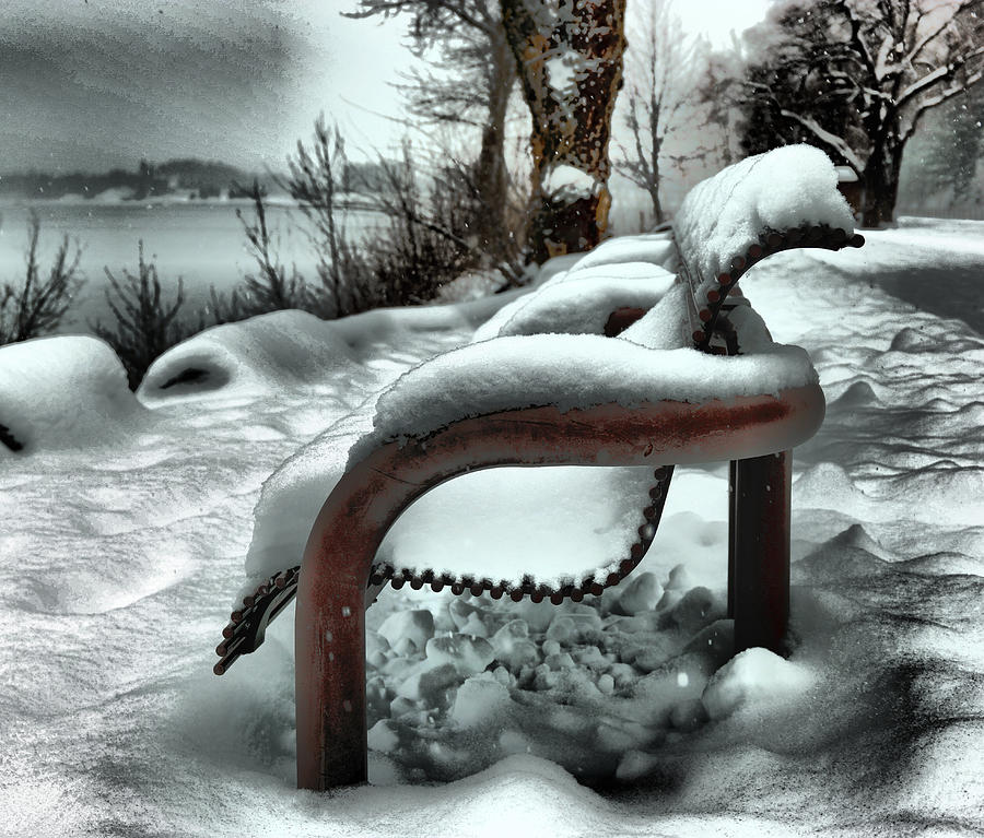 Lonely Bench In Snowfall Photograph
