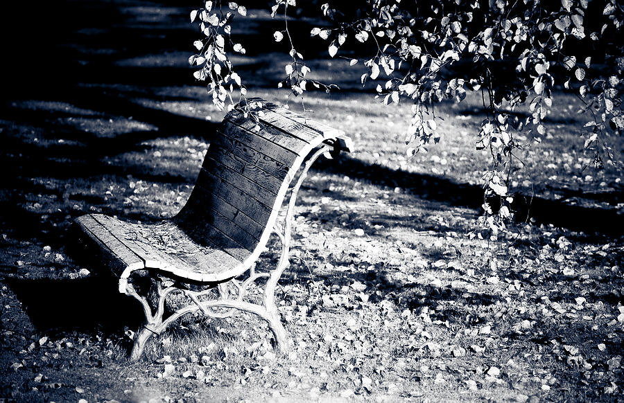 Fall Photograph - Lonely Bench by Maggie Terlecki