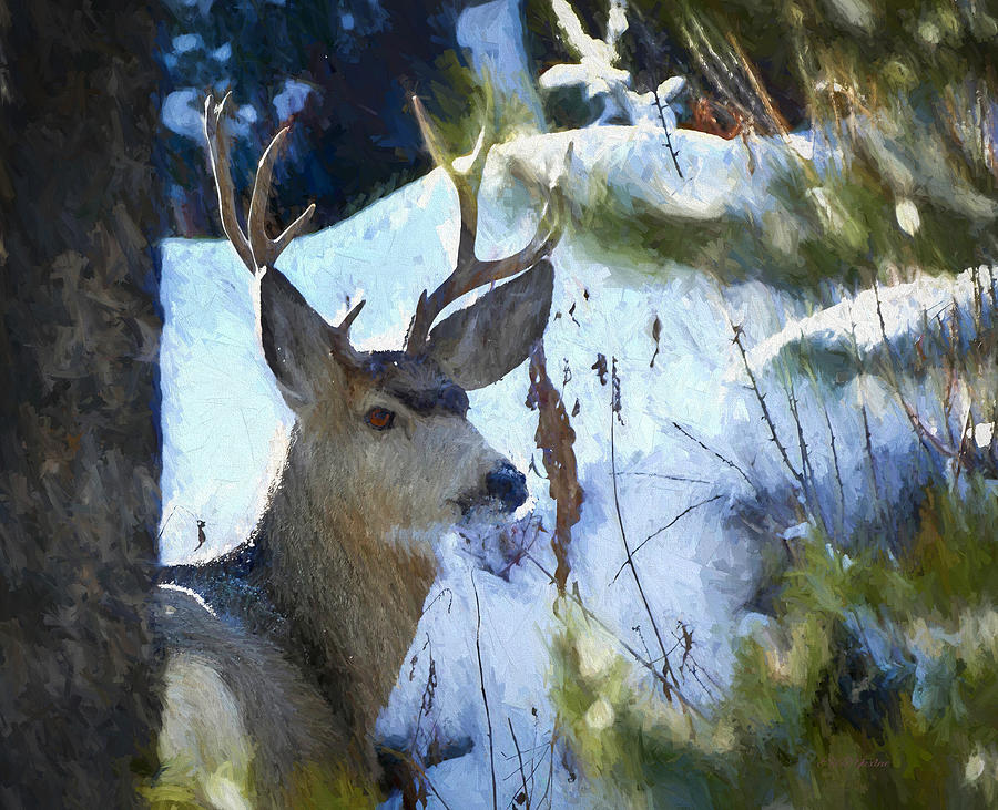 Deer Photograph - Lonely Buck Painting 479 by Ericamaxine Price