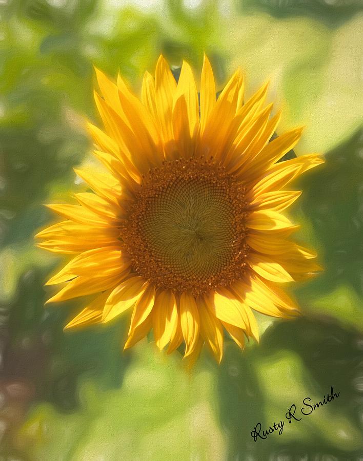 Flowers Still Life Digital Art - Lonely but lovely Sunflower by Rusty R Smith