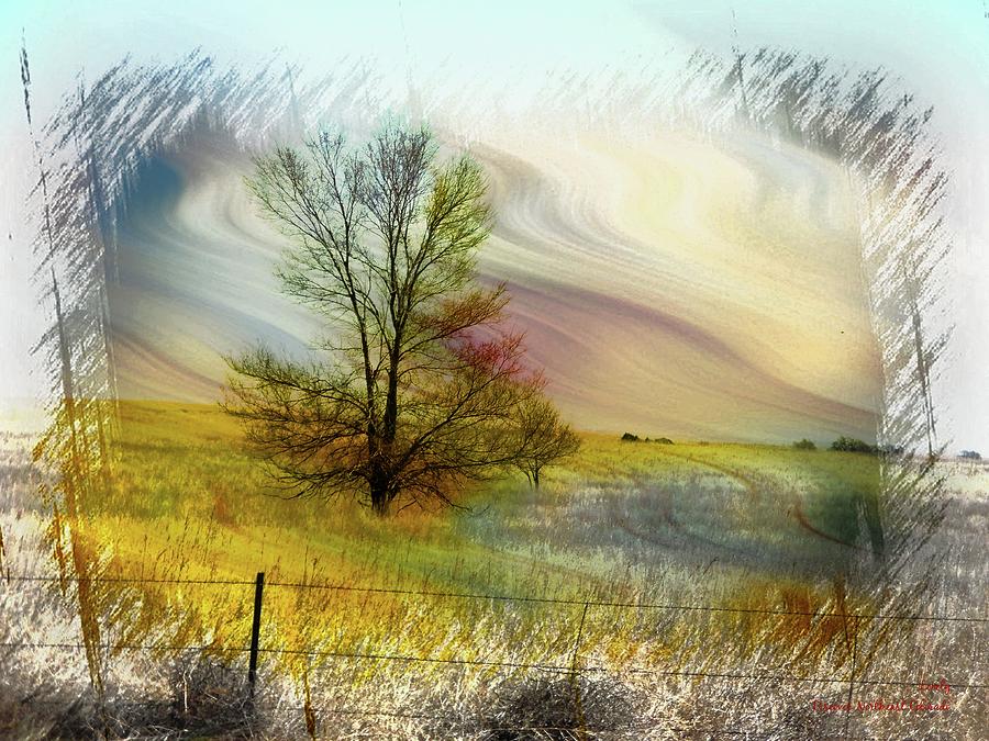 Tree Photograph - Lonely by Catherine Shull Tree Photograph - Lonely by Catherine Shull