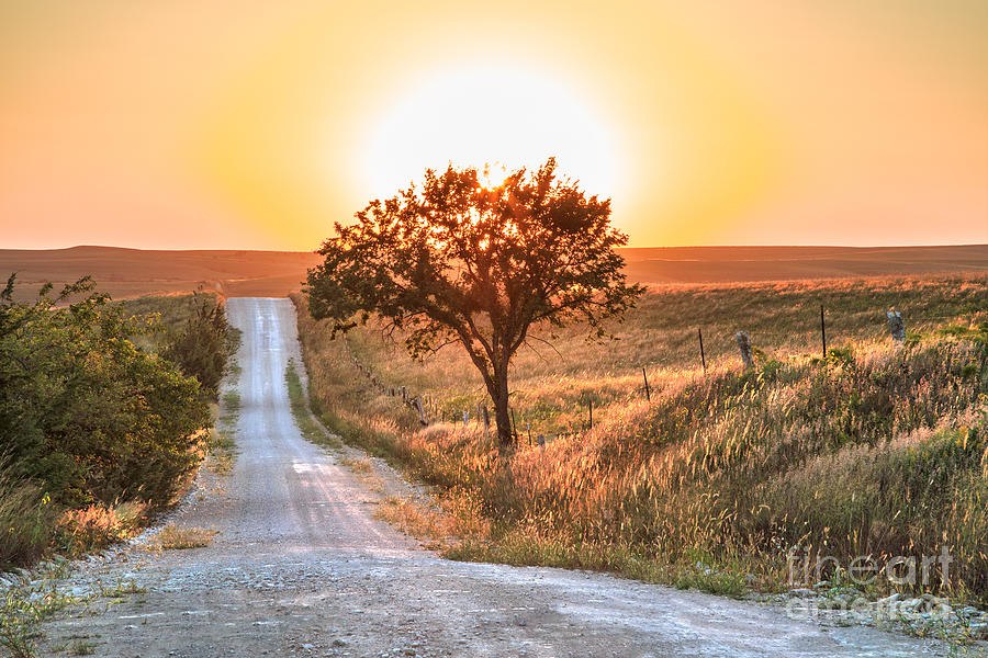 Sunset Photograph - Lonely Country Road by Jill Van Doren Rolo