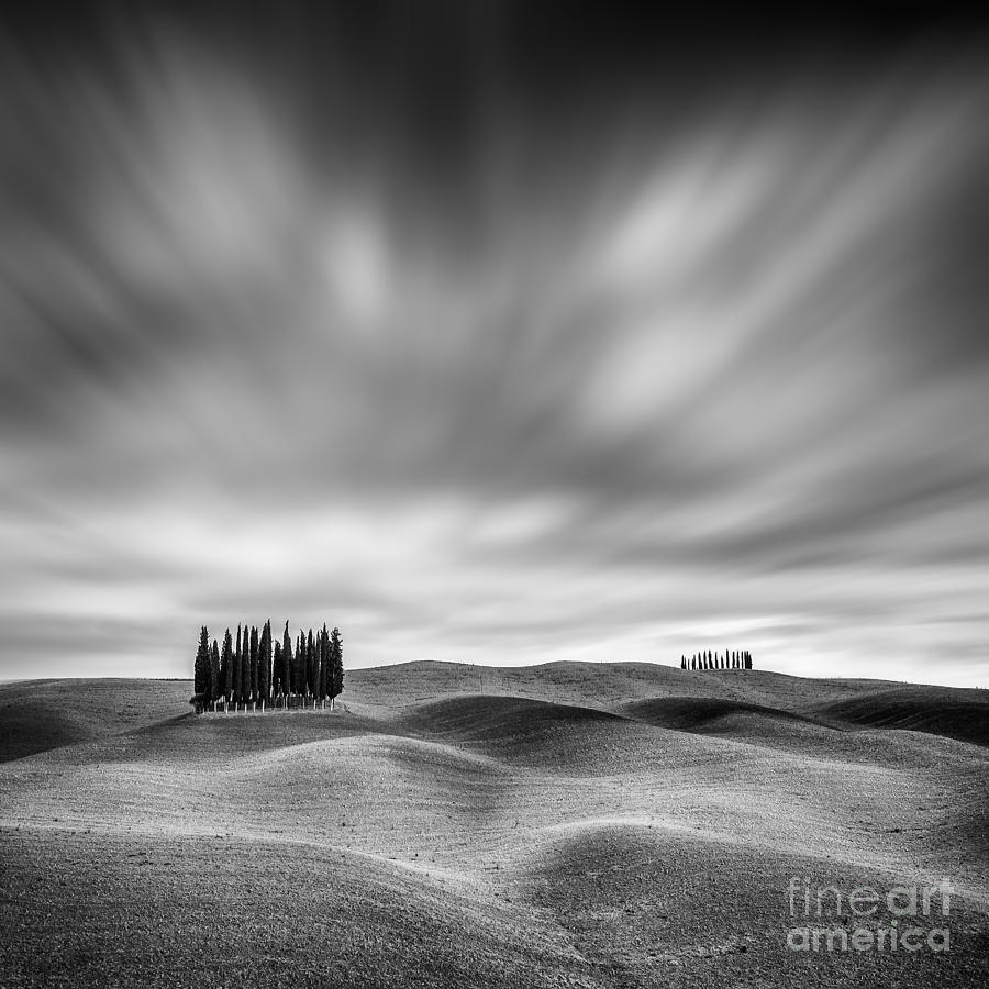 Black And White Photograph - Lonely Cypresses  by Pawel Klarecki