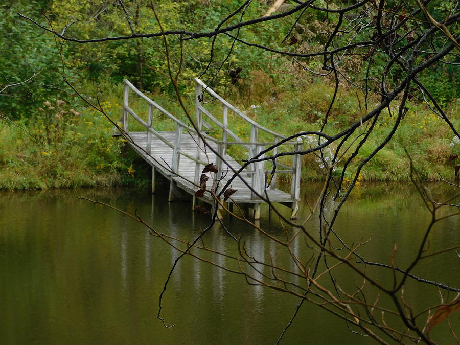 Lonely Dock on Trout River Photograph by Catherine Gagne