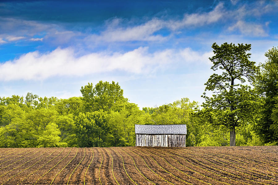 Lonely Farm Building Photograph by Todd Ryburn