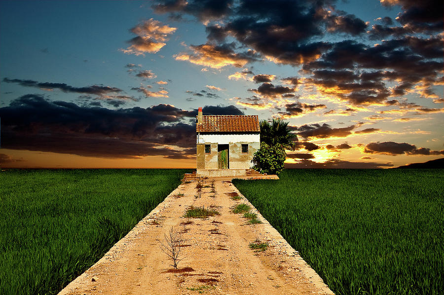 Lonely Farm House  Photograph by Harry Spitz