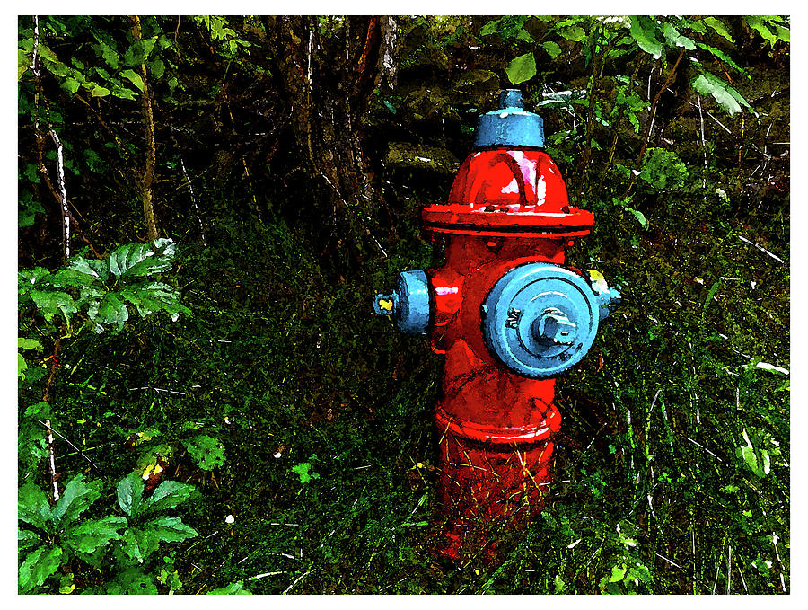 Lonely Fire hydrant Photograph by Jonathan Baldock