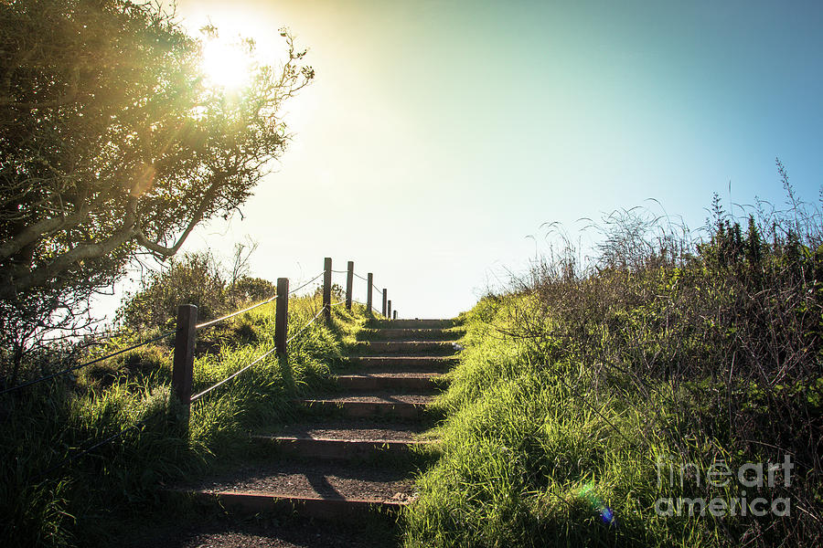 Lonely footpath leading up the stairs in the sunset Photograph by Amanda Mohler