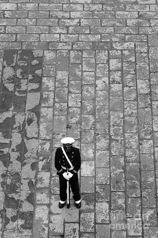 Lonely Guard 1 Photograph by James Brunker