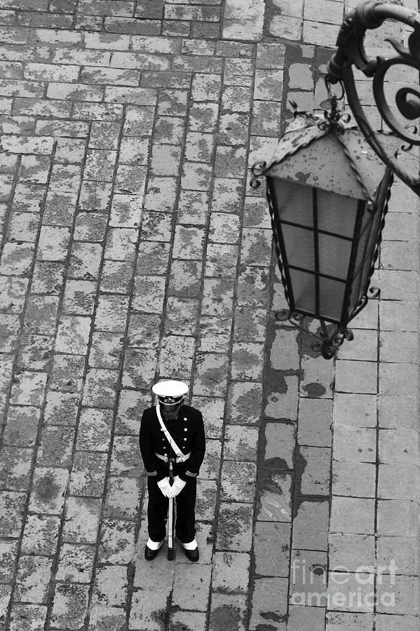 Lonely Guard 2 Photograph by James Brunker