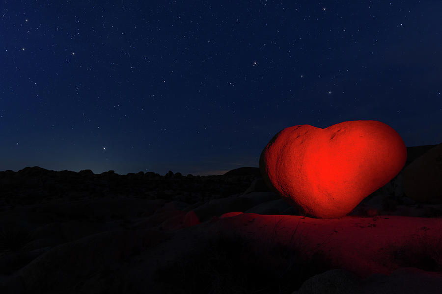 Lonely Heart   Photograph by Tassanee Angiolillo