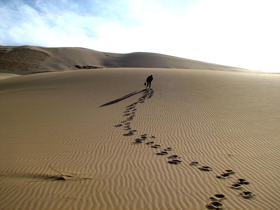 Lonely Hiker in the Gobi Photograph by Diane Height