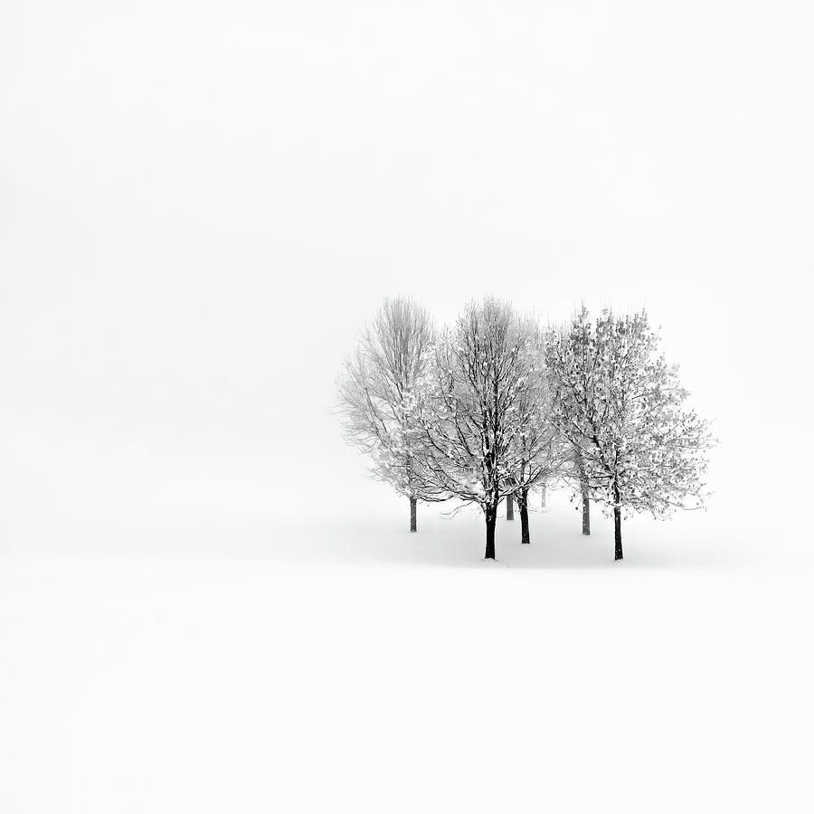 Winter Photograph - Lonely by Pawel Klarecki