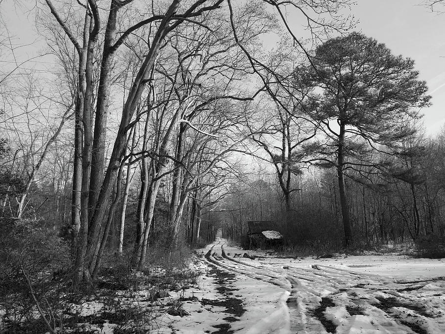 Lonely Road In Winter Photograph by Robert Banach