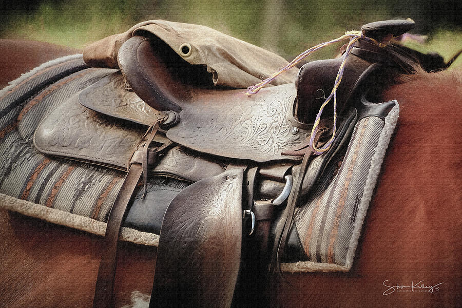 Lonely Saddle by Steve Kelley Lonely Saddle by Steve Kelley